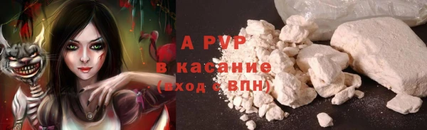 прущие крисы Абинск