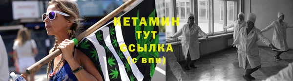 трава Абаза