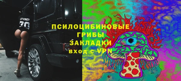 трава Абаза