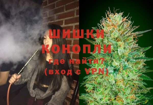 индика Абдулино