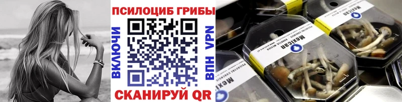 Псилоцибиновые грибы мицелий  Фурманов 
